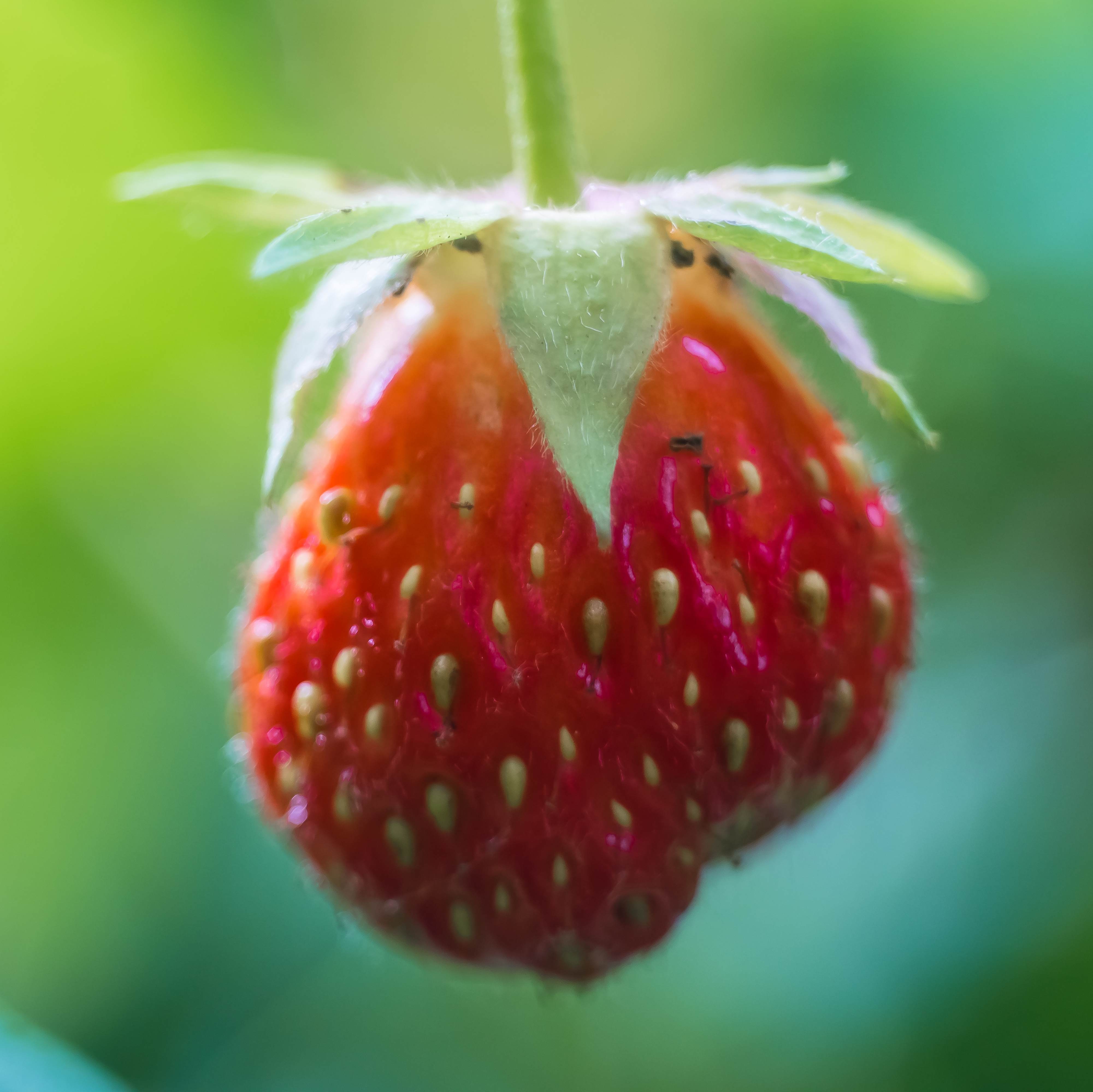 Kochen im Alltag – Praxis statt Inszenierung